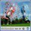 outdoor aurora bubble for soccer