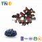 TTN 2016 Hot Sale Blueberry Powder Fruit Freeze Dried Blueberry