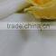 Thick bamboo cotton jersey