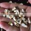 Dried Mushroom Granules