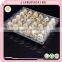 Cheap factory price 30 holes plastic quail egg tray