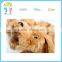 Kid good friends soft dog and monkey toy