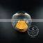 8*9cm sphere glass terrarium transparent preserved flower arrangement table centerpiece indoor gardening 0100028