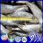 25cm+ CARAPAU Frozen Horse Mackerel