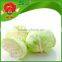 brands iceberg cabbage green cabbage specification of fresh cabbage