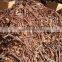 Broken cassia (cinamon) BEST PRICE, HIGH QUALITY