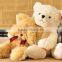 2016 Baby musical bear plush toy for children gift