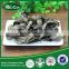100% natural top grade black fungus chinese log black fungus