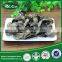 best price black fungus frozen black fungus