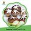 China High Quality Iqf Frozen Shiitake Mushroom