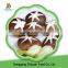 Low Price Frozen IQF Bvitamin High Quality Shiitake With Original Flavor