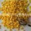 best sell good price sweet flavor canned sweet corn with fast shipment