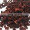 Wholesale China Goods Red Beet Powder New Products on China Market