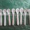 High Quality Spoon, Spoon Safe for Food, Spoon Made From Natural Seashell