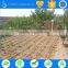 TS irrigation build types of irrigation system for corn irrigation, sugarcane irrigation