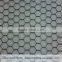 Low Cost Hexagonal Netting /chicken Wire Mesh/ Poultry Hexagonal Netting for Sale
