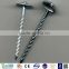 China umbrella head galvanized roofing nail with washer factory price High quality rubber washer roofing nails/plastic washers