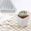More Thickness Plastic Starting Seeding Flower Pot