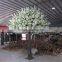 SJ1501037 artificial sakura flower trees/wedding big flower cherry tree