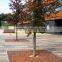 FO-9T03 Square Corten Steel Tree Perforated Strainer, Tree Pool Cover