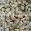 Frozen new boiled local special seafood yellow clam meat from Liaoning province