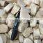 Frozen Sea Scallop in Good Quality no Chemical Treated