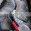 Supply Whole Round Moon fish