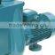 High efficient liquid iron pump swimming pool electric water pump on hot sale