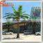 Factory Hot Sale Artificial Coconut Tree Differant Types of Plants and Trees Make Artificial Fake Coconut Palm Tree