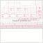 Kearing high quality 1.2mm thickness Scale Rulers sandwich printing plastic rulers1:5 #8515