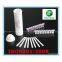 Aflatoxin M1 rapid test dipsticks (milk)