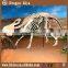 Museum Life Size Dinosaur Fossil For Sale