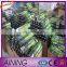 Cling Film /cling wrap /food stretch film