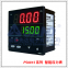 PS4812/PS4812TProgrammable Intelligent Pressure Indicator