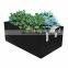 Strawberry Potato Felt Black Grow Bags