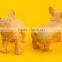 Plastic Dog Mannequin,PVC Environmental Protection Yellow Mannequin Manikin Dog KEVIN 5