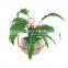 K&B wholesale manufacturer colorful kids modern cheap outside indoor round metal hanging flower plant pot stand