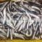 low price wholesale fresh anchovies