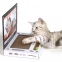 2024 New Arrivals Cat Scratcher Laptop with Fluffy 'Mouse' Interactive Toys Pet Scratching Board