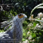 Stainless Steel 304/316 Ferrule Cable Mesh Wire Rope Netting for Bird Aviary Net