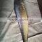 Frozen mahi mahi Whole round