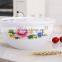 pp bowl shaped preservation box with transparent lid