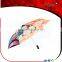 Classic one piece anime umbrella,cartoon umbrella for sale