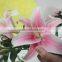 Elegant in smell classical 2015 cheap fresh lilies