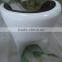 tooth clinic hot sale decoration leisure fiberglass tooth chair