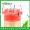 TOACH Lights High Quality Solar Rechargeable Camping Light Plastic Lantern Tent Lamp High Power Emergency Search Lights