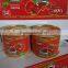 198g*48tins Canned tomato paste ,hot sell with high quality