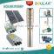 Good Quality mppt Submersible Solar Pump ( 5 Years Warranty )