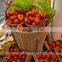 Equipment for Vertical Farming, Hydroponic NFT and Hydroponic Systems