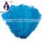 red ostrich feather for party/New Year/Christmas decoration                        
                                                Quality Choice
